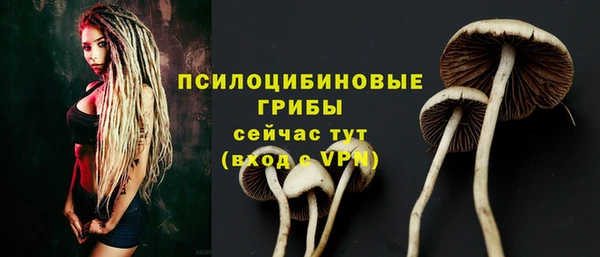 герыч Алзамай