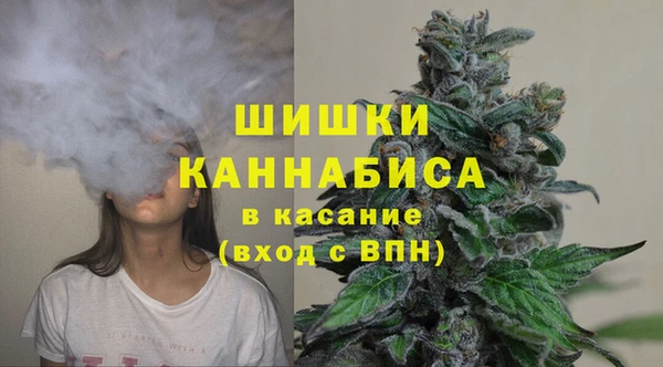 амф Липки